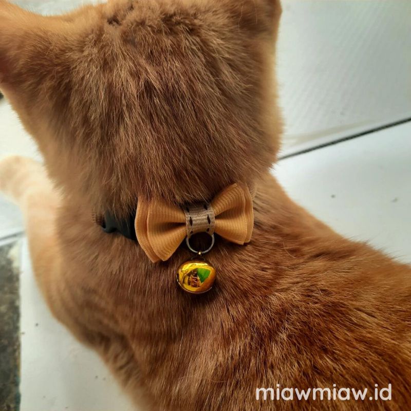 Kalung Kucing Pita Mini Lonceng 14mm Kitten Adult by Miaw Miaw