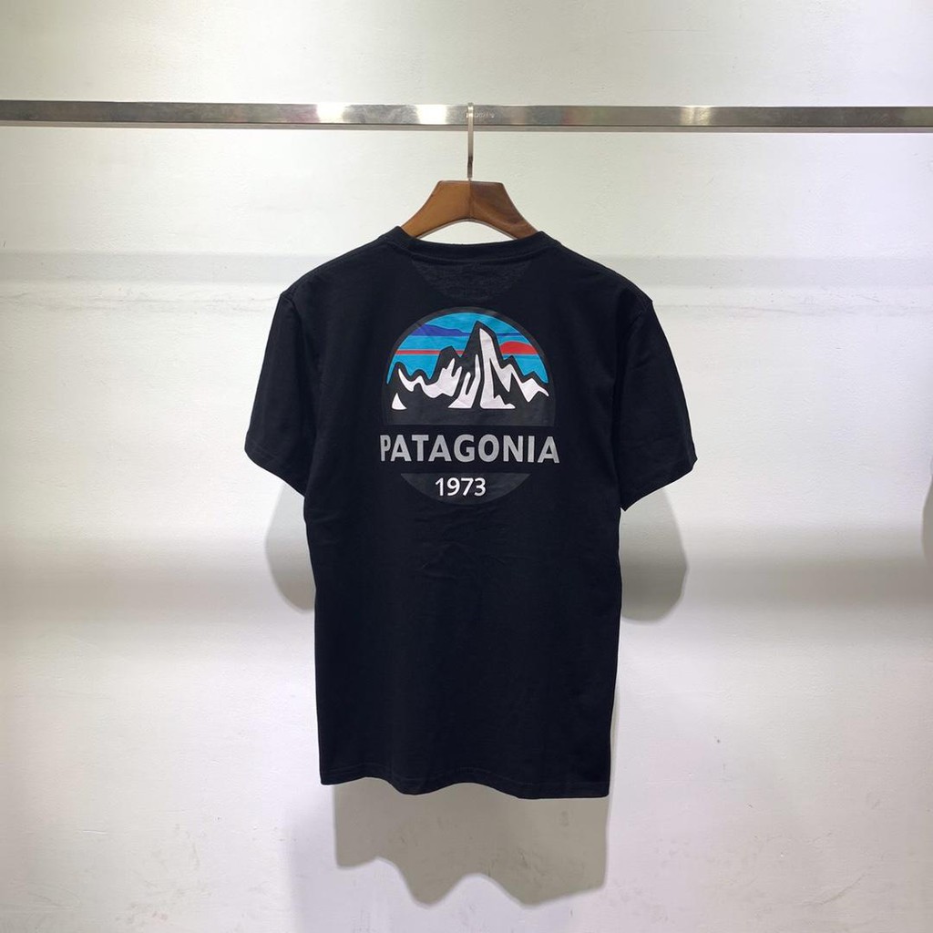 patagonia t-shirt