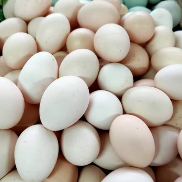 

Telur ayam kampung per butir, sayur medan