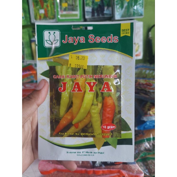 Benih Cabe Rawit Putih - Jaya - 10 gr - Jaya Seeds / bibit cabai viral mampyar super