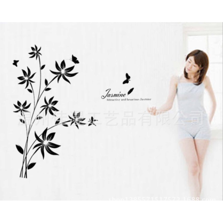 Dinding Stiker Transparan / Wall Sticker / (50x70cm) C01 TKM