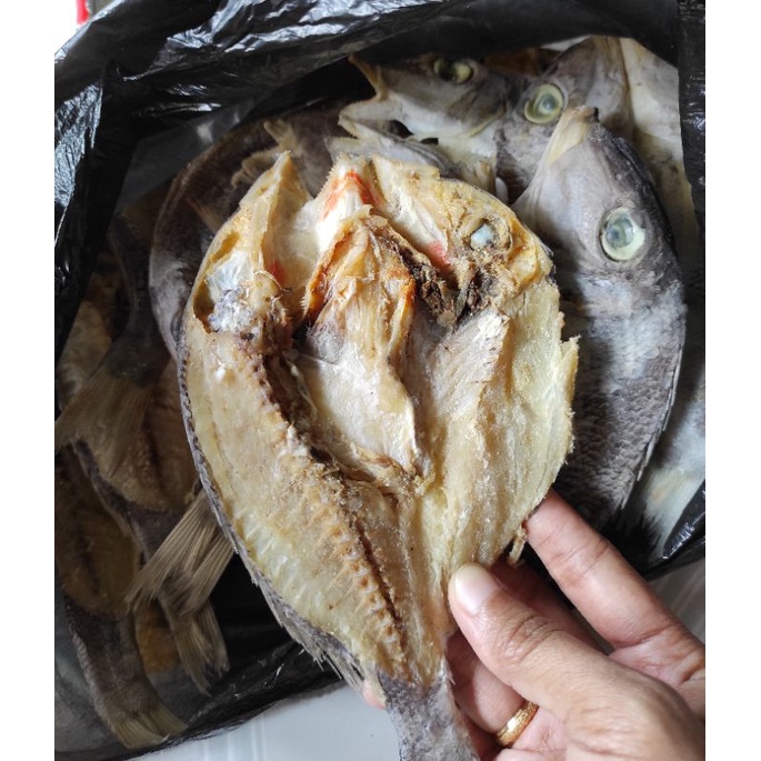 

Ikan Kering Asin Katamba/Cilala/Kakap khas Makassar 500 gram