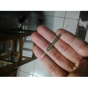 reed switch besar