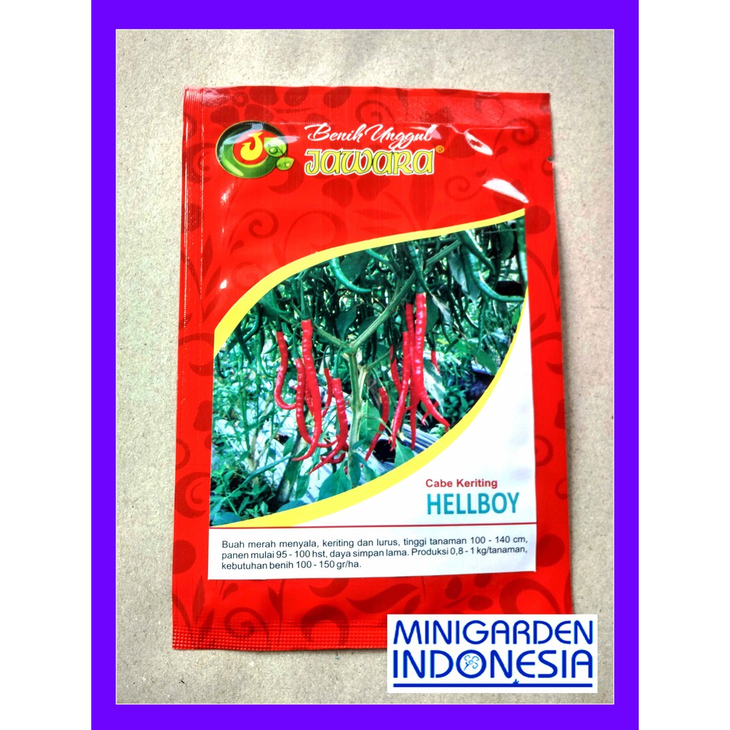 Cabai Merah Keriting HELLBOY PACK 10 GRAM  Benih Bibit Cabe Jawara ±2300 Biji