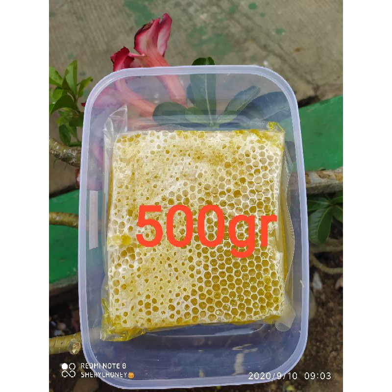 Jual Madu Sarang Mellifera 500gr Shopee Indonesia