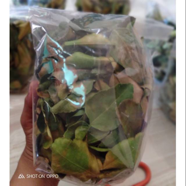 

Daun Jeruk purut kemasan 250 gram