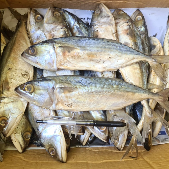 

New Ikan Asin Peda 250gr