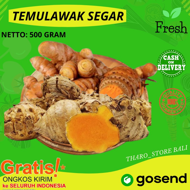 

TEMULAWAK SEGAR 500 gram CURCUMA RIMPANG ORIGINAL OBAT HERBAL STOREONLINETERMURAH DENPASAR BALI