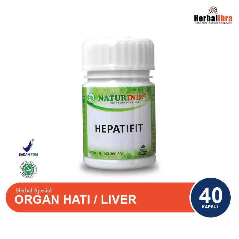 HEPATIFIT obat herbal batu empedu memperbaiki organ hati dan liver nyeri perut kanan dan pencernaan-1
