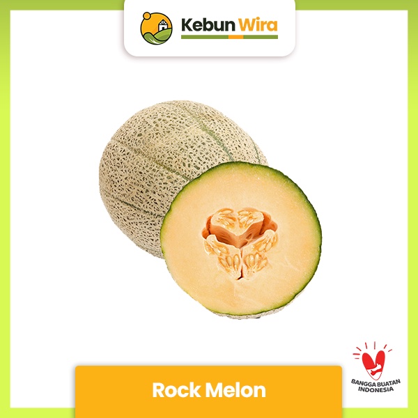 

Rock Melon | Rock Honeydew Melon