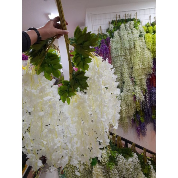 BUNGA WISTERIA  PUTIH JUMBO