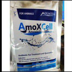 Amoxcell 10 gram dan 5 gram Obat Berbagai Penyakit Ikan Koi dan Ikan lain