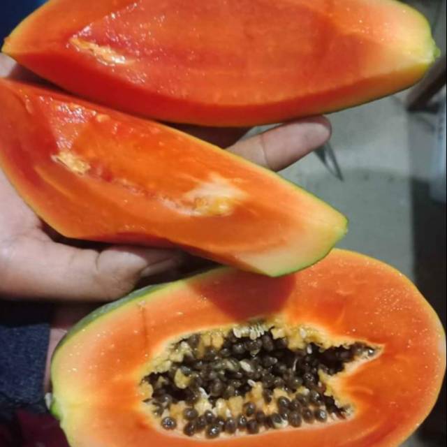 

Pepaya manis / buah