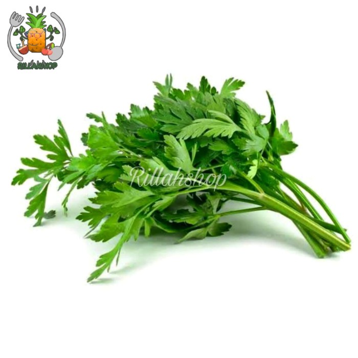 

Daun Seledri 500 Gram