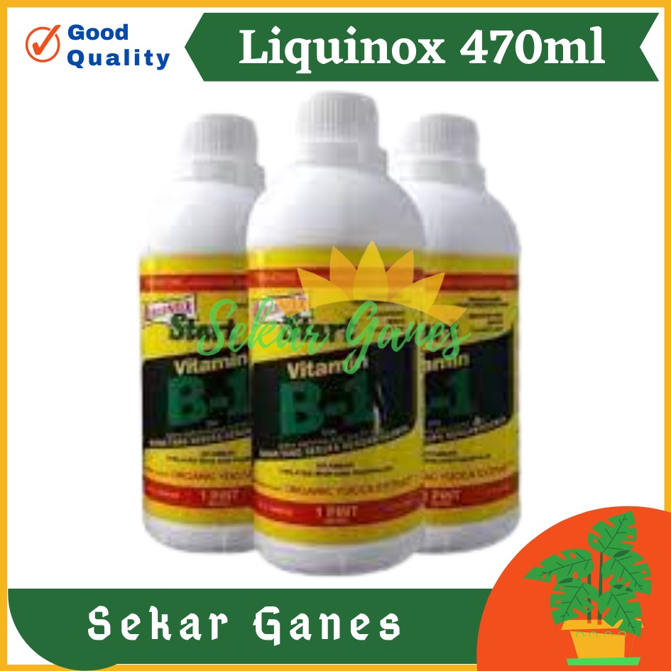 Ori B1 Liquinox 470 Ml Penumbuh Akar Obat Anti Stres Vitamin Nutrisi B1 Tanaman Bibit Stek Cangkok