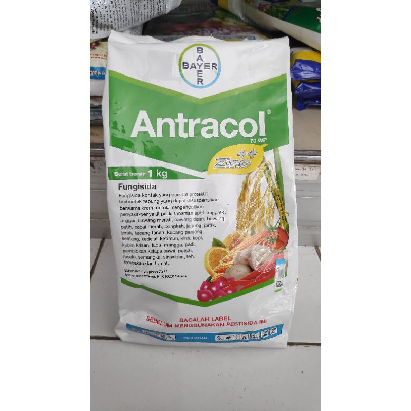 

Fungisida Antracol 70WP + Zinc 250 gram PEMBASMI JAMUR SEMUA TANAMAN