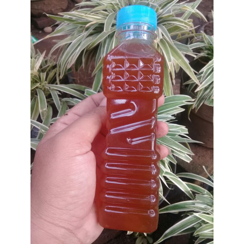 

MADU KLANCENG LIAR 250ml