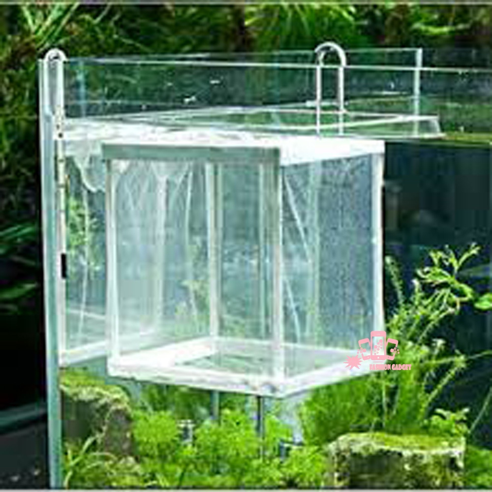 BOYU NB-3201 NET BREEDER BREEDING AQUARIUM JARING BOX KARANTINA IKAN