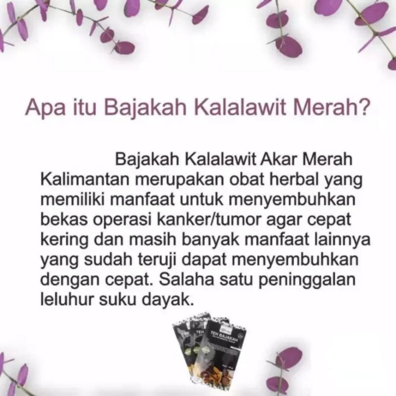 Teh bajakah teh bajakah asli Kalimantan akar bajakah Kalimantan herbal teh kayu bajakah teh herbal obat kanker obat maag kronis obat diabetes kayu bajakah kalalawit merah premium obat herbal alami