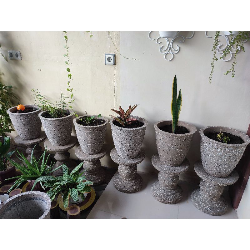 Pot Bunga Batu Keren | Pot Batu | Pot Bunga Keren | Pot Bunga Unik | Dekorasi Rumah