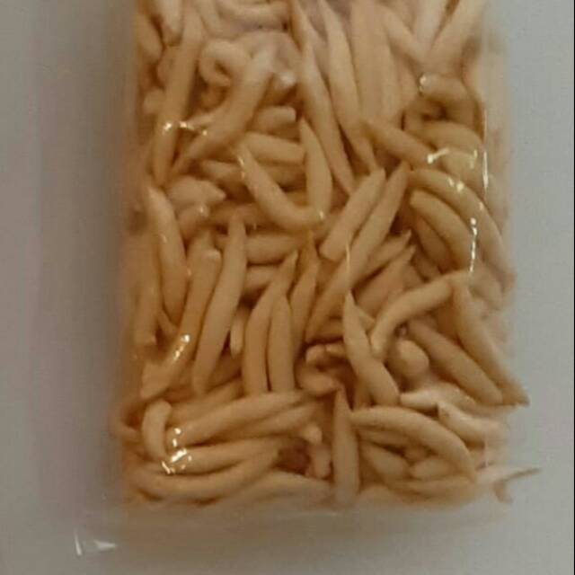 

Stik keju