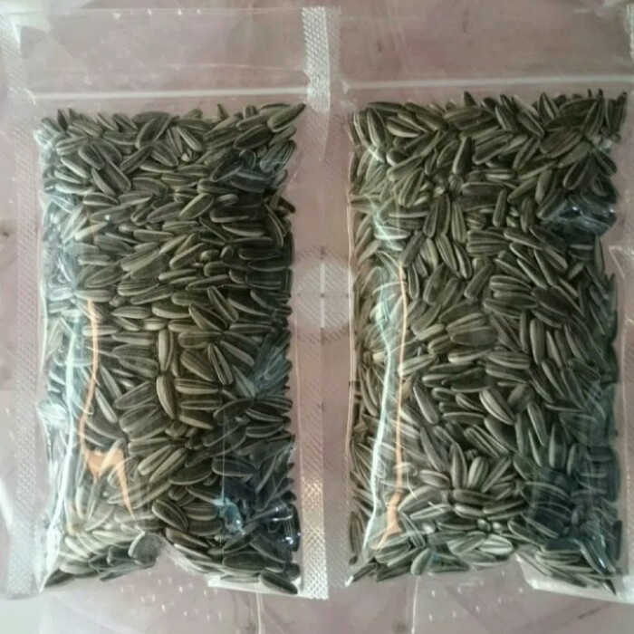 Kuaci Kwaci cemilan snack burung lovebird hamster landak mini marmut