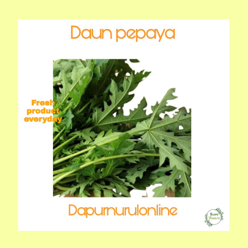 

Daun paya fresh per ikat