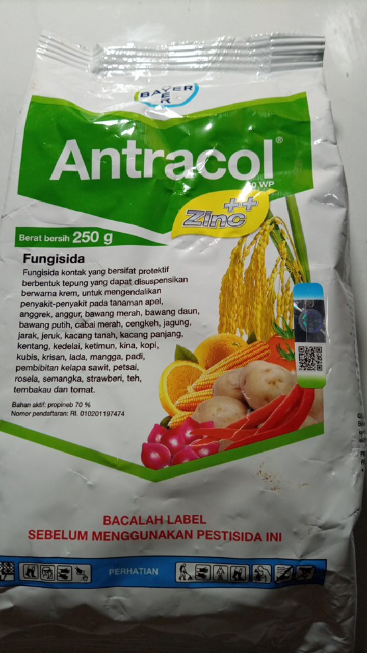 (cod) Fungisida Antracol 70 Wp Kemasan 250 Gram