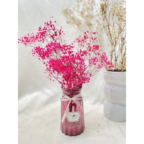 Baby breath bunga kering