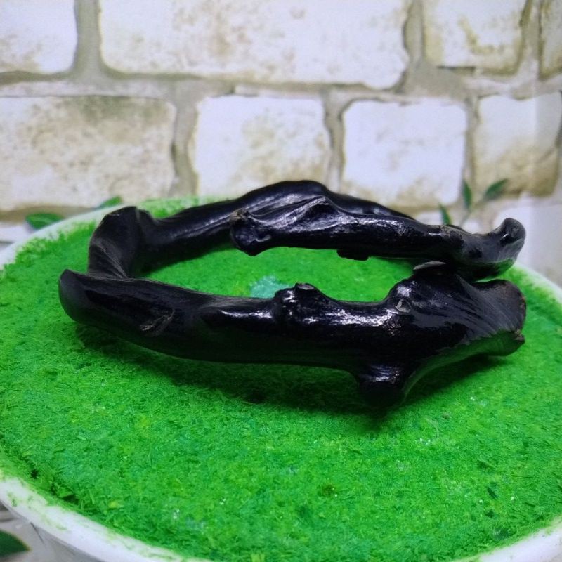 

Bahar hitam