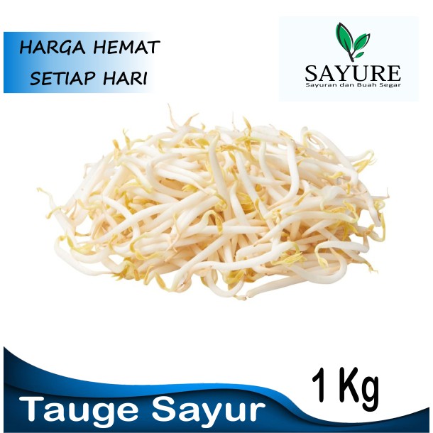 

TOGE / TAUGE LOKAL FRESH 1 KG