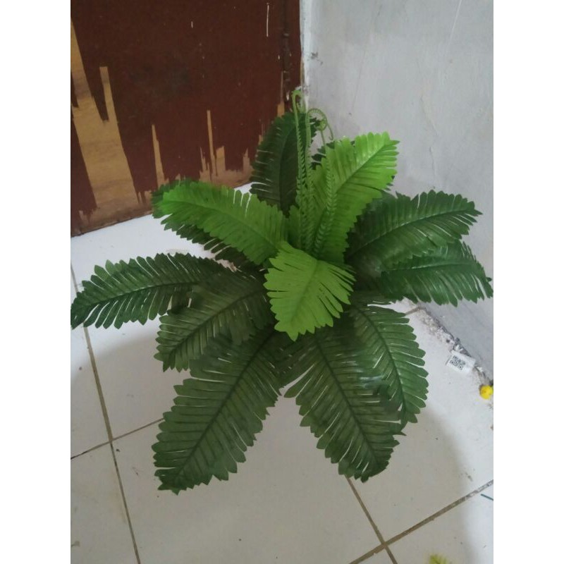 daun imitasi