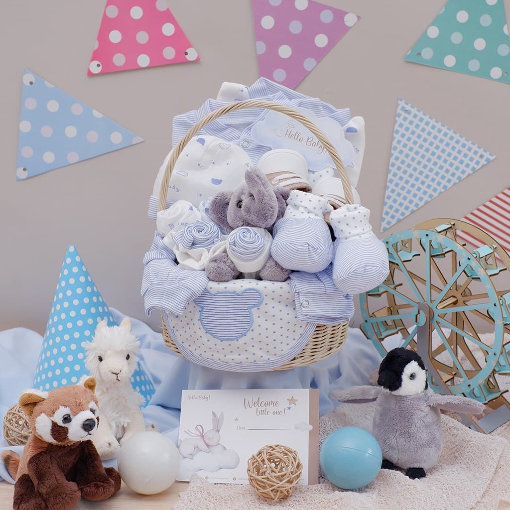 BARU LIO034 (Boys) Parcel Premium Hello Baby Hampers Gift 0-3 months