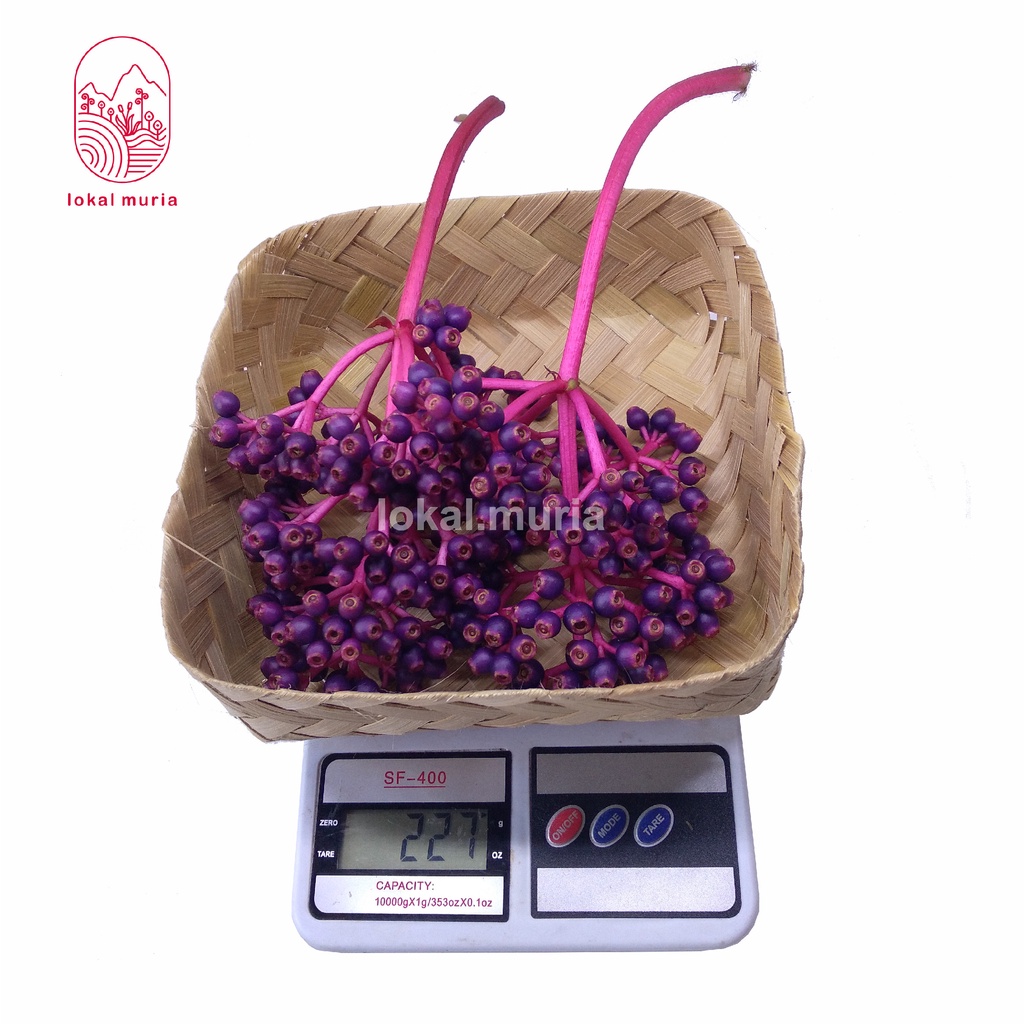 

BUAH PARIJOTO MURIA 1/4 KG ( 250 GRAM ) MURAH