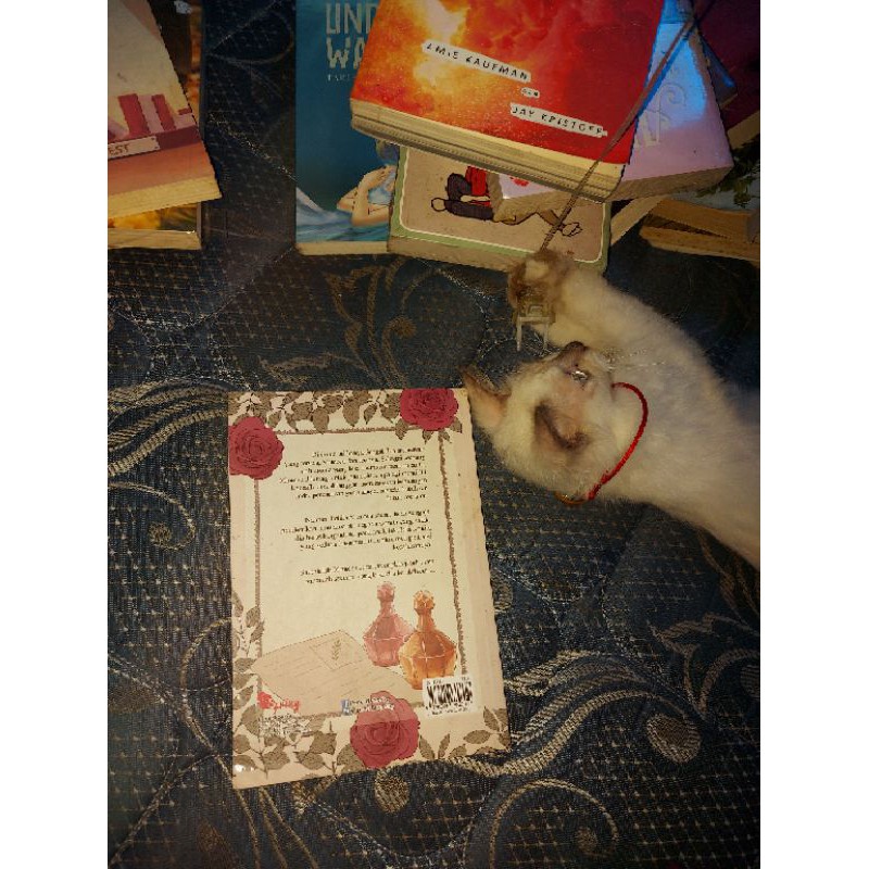 NOVEL BEKAS THE SECRET OF A HEART NOTE