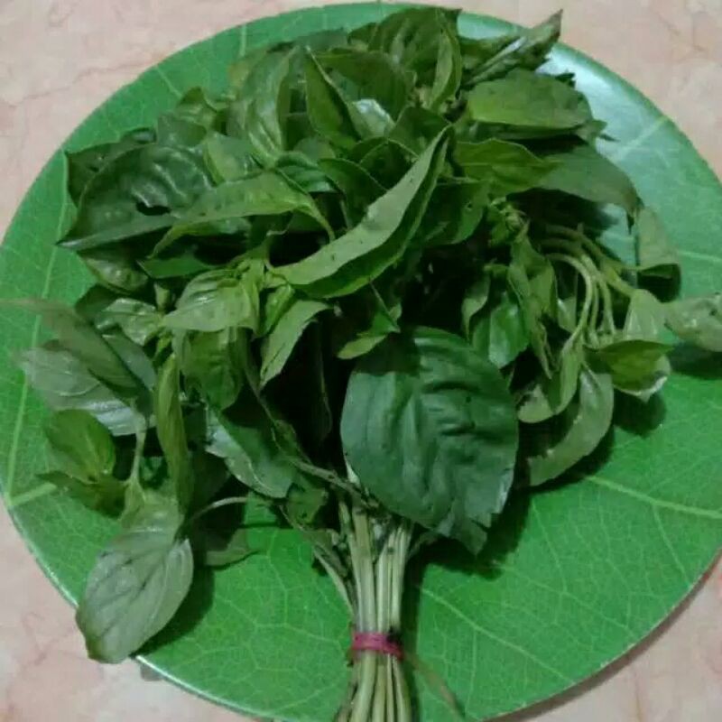

SAYUR KEMANGI ATAU DAUN KEMANGIN PER IKAT