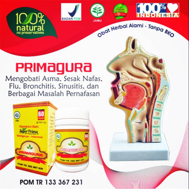 Herbal GURAH fit -V dan gurah