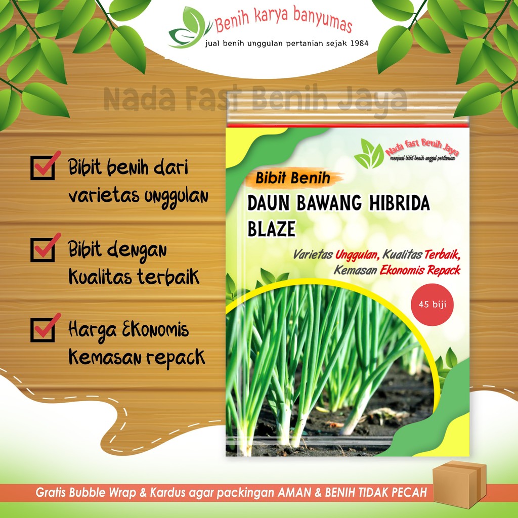 TERBAIK  50 biji Bibit benih sayuran daun bawang Blaze unggul - bibit daun bawang