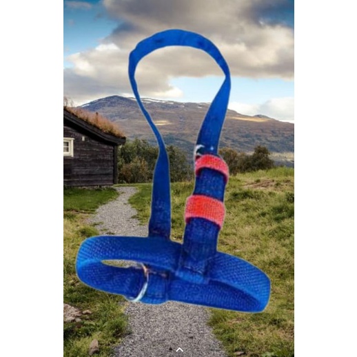 head halter/brangos sapi