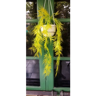 Daun Bambu Kuning Juntai Gantung Artificial Biji Plastik Imitasi