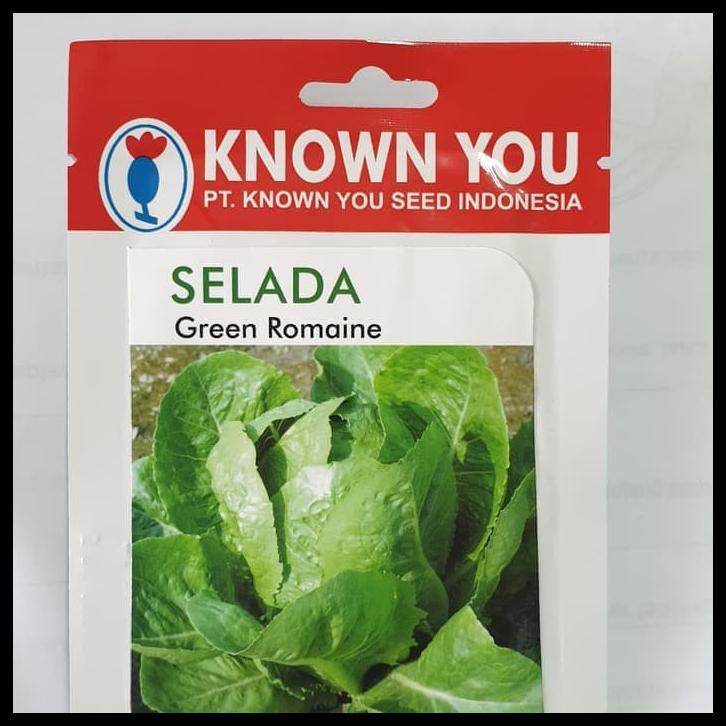 BENIH BIBIT SELADA LETUCE GREEN ROMAINE (5 GRAM) KNOWN YOU SEED