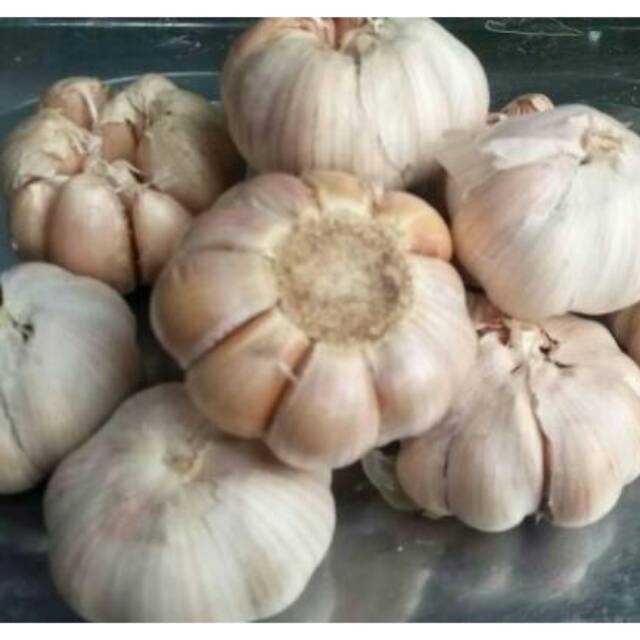 

BAWANG PUTIH BIASA