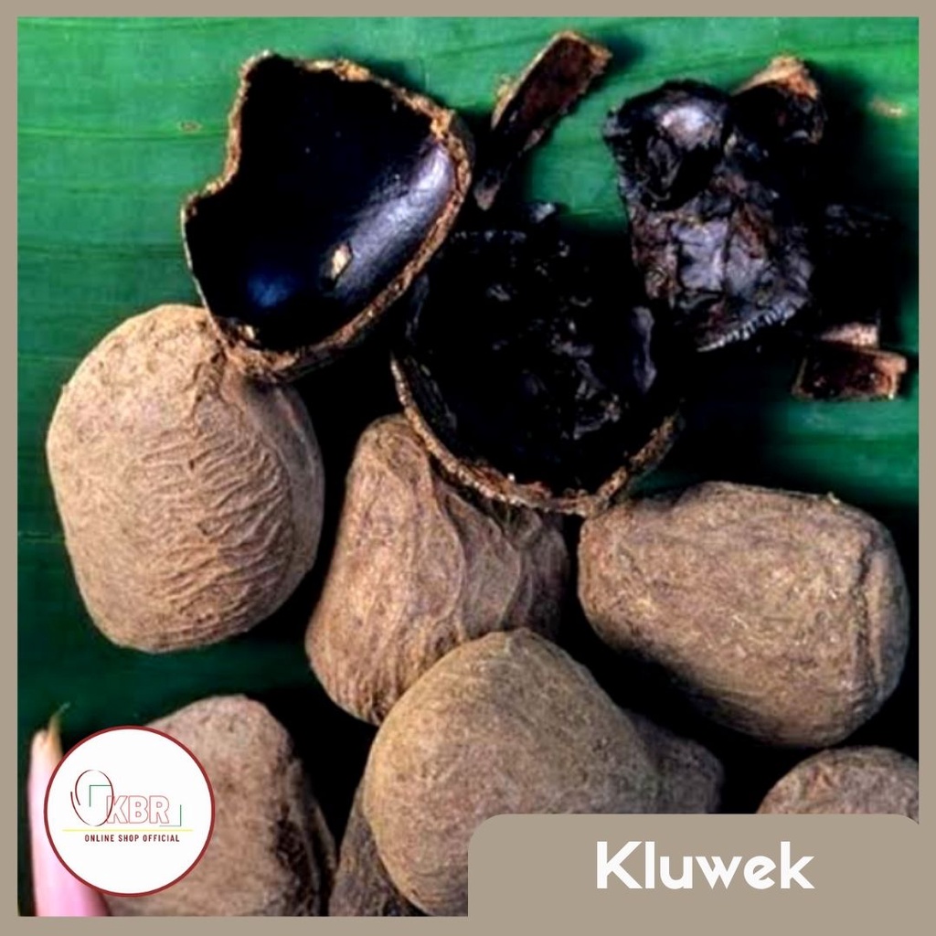 Kluwek / Kluwek Rawon - 1kg