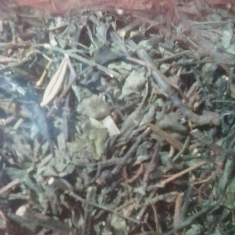 

Daun Sambiloto Kering / Sambiroto Kering / Daun Paitan Kering 1 kg