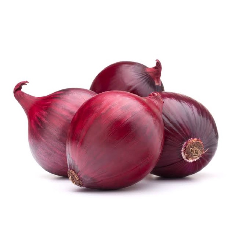 Benih Bibit Biji - Bawang Bombay Merah Red Onion Bawang Merah India Jumbo Seeds - IMPORT