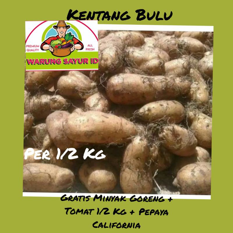 

kentang bulu 1 kg