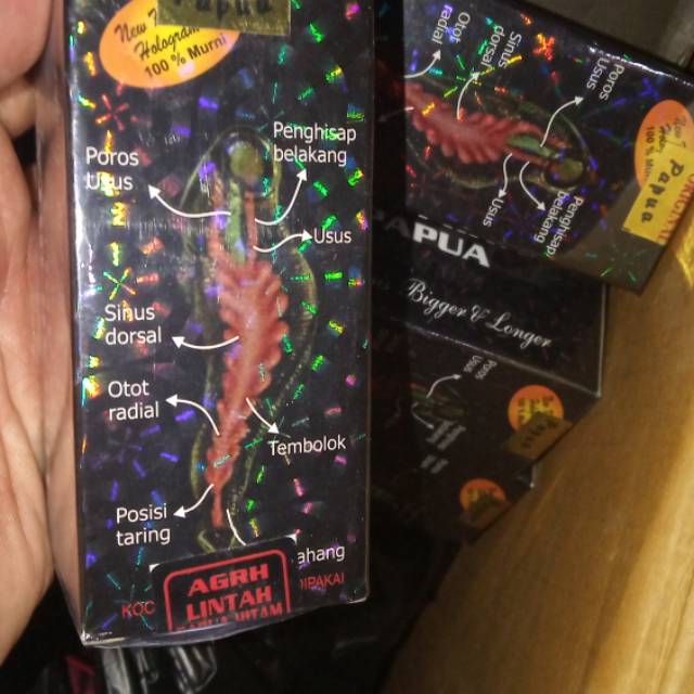 Minyak lintah papua hitam