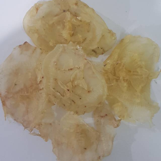 

Perut/gelembung ikan hu phio mayung