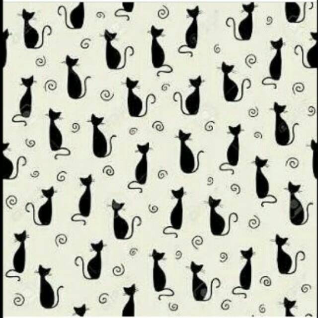 Roll cat motif dinding