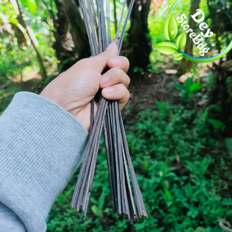 Lidi pohon aren Lidi Harupat P 40 isi 50 batang